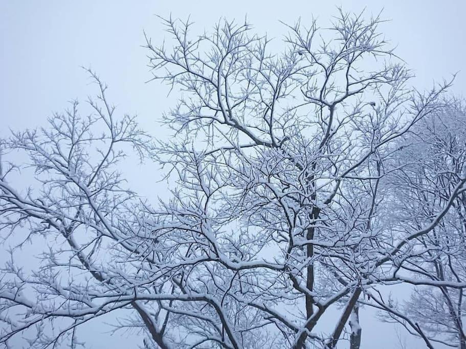 Vila Oyamanoyado Michitsuji Otoyocho Exteriér fotografie